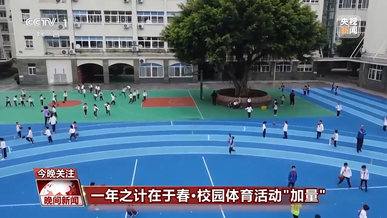 泰本赛季的